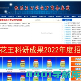 促花王公司电子商务集团