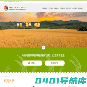 新疆盛康宏鑫（集团）有限公司