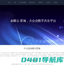 金蝶云星瀚