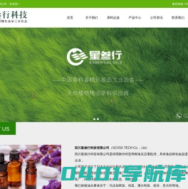 四川星叁行科技有限公司