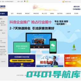 网络营销全网推广_网站建设_短视频代运营-成金科技