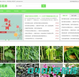 勤芳花木网_花卉种植_花语含义_养花经验_种花技巧_qinfanghuamu
