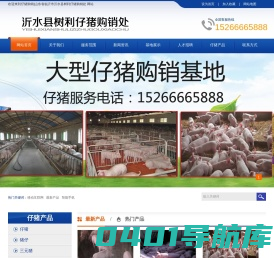 仔猪购销|山东省临沂市沂水县树利仔猪购销处