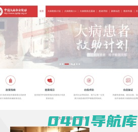 中国大病社会救助