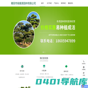 绿康源园艺_福建园林工程_名贵树木_园林园艺_莆田市绿康源园林有限公司