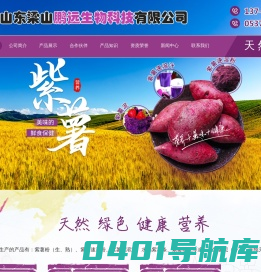 山东梁山鹏远生物科技有限公司_各种紫甘薯粒_紫薯粉_紫薯速溶粉_水晶紫薯条_紫薯泥