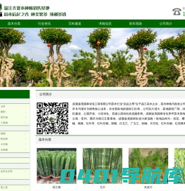 绿化苗木价格 - 常绿乔木批发 - 灌木树苗基地 - 成都途美园林绿化