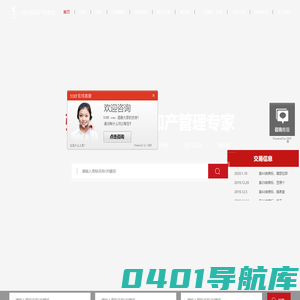强大知识产权集团