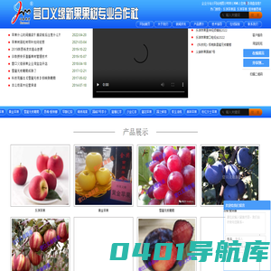 乐淇苹果苗_乐淇苹果_爱琳娜西梅-营口义缘新果果树专业合作社