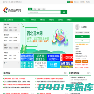 西北苗木网--苗木求购|绿化苗木价格|陕西苗木