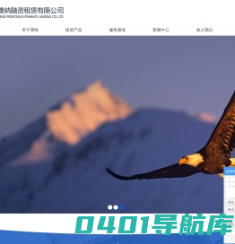 广东博纳融资租赁有限公司