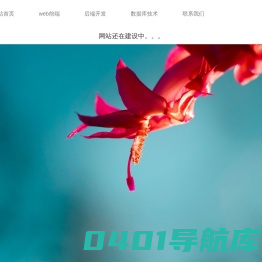 个人编程技术分享