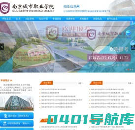 南京城市职业学院招生信息网