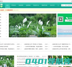 方法多多 - 花果绿植养护知识分享平台，探索花卉、盆栽、盆景养殖之道