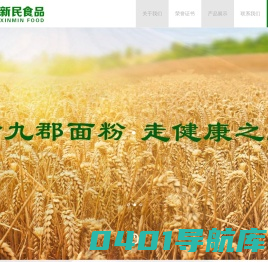 五原县新民食品有限责任公司