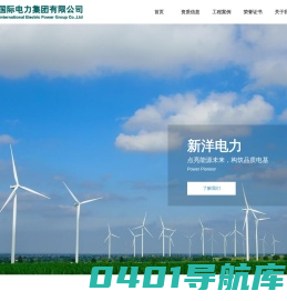 新洋国际电力集团有限公司