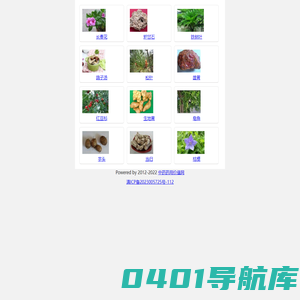 中药药用价值网