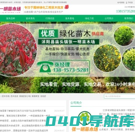 树苗批发-绿化苗木-园林绿化-苗木价格-绿化工程-张一明苗木场