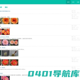 彩草园_家庭园艺花卉_朱顶红、月季、毛花柱、彩草、席克氏及令箭荷花