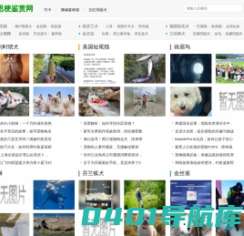 藏獒,大麦町犬知识网_凯恩梗鉴赏网