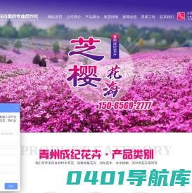 青州市成纪花卉苗木专业合作社_草花,宿根,花海,苗木,观赏草,水生植物