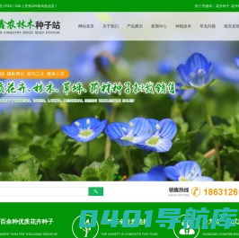 花卉种子_花卉种子批发_草坪种子-安国市鑫农林木种子站