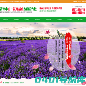 青州市山一花卉苗木专业合作社-青州绿化苗木_青州园林景观工程_青州花卉苗木