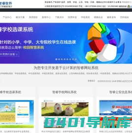 智睿软件_原创著作_致力于中小企事业系统开发