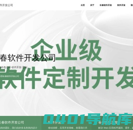 长春软件外包公司-软件开发-定制