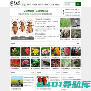爱奋进农村创业网