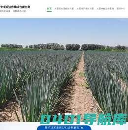 大葱种植技术_大葱种子_大葱病虫害_大葱专用肥-葱满满