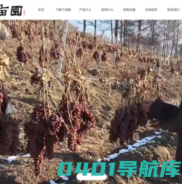 千亩园酒庄-冰酒-果酒-桑葚酒-山东千亩园葡萄酒庄有限公司