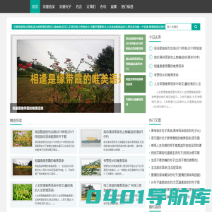 贝曼语录网