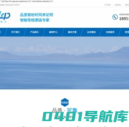 南京德磁电力科技有限公司