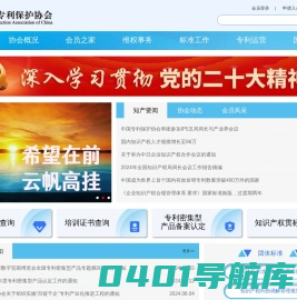 中国专利保护协会