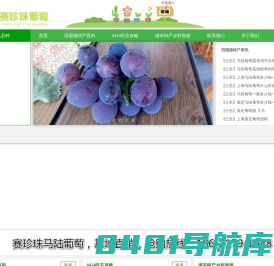 南汇8424西瓜网-南汇8424西瓜网丨南汇8424西瓜采摘价格多少钱一斤丨南汇8424西瓜礼盒