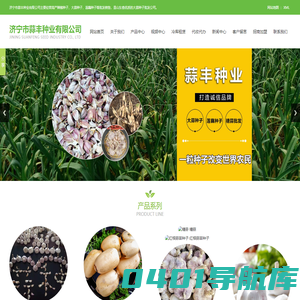 山东大蒜种子,大蒜种子培育基地,莲藕种子,价格,批发,济宁市蒜丰种业有限公司