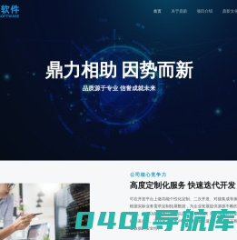 深圳市鼎新软件科技有限公司