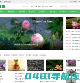 花卉街 - 专业的花卉图片、花卉知识网站