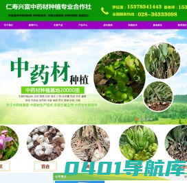 乌梅种苗,天冬种苗,中药材种苗,山桐子种苗,金果榄种苗,金果榄种子,姜黄种苗，黄精种苗，黄精，黄精种子，白术种苗，白术种子，当归种子，当归种苗，白芨种苗，中草药种植，苦参苗，柴胡种子，柴胡种苗，前胡种子，半夏种子，半夏种苗，丹参种苗，佛手苗，射干种子，百合种子，射干苗，创业项目，中药材种植技术，枳壳苗，连翘苗，百部种苗，百部种子,中药材种植技术,瓜蒌种子种苗,白芷种子种苗,板兰根种子种苗,天麻种子种苗,川芎种苗，泽泻种苗，重楼种植，大和当归，广岛31号柴胡，黄连种苗，淫羊藿苗，泽泻种子，泽泻苗子