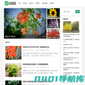 花晓网 - 一个懂花的网站，持续分享养花知识！