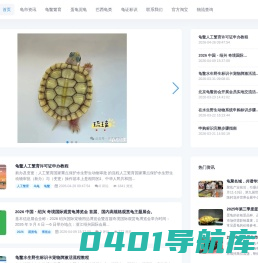 龟商网-菜鸟龟鳖-石金钱龟-巴西龟乐园-宠龟时代-蛋龟-水龟-陆龟-大型的乌龟科普门户网站