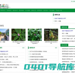 踏花行