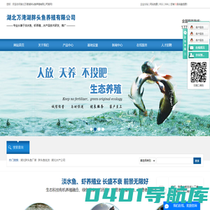 湖北胖头鱼批发厂家_湖北水产公司-湖北万湾湖胖头鱼养殖有限公司
