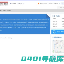 口岸街道政务服务网