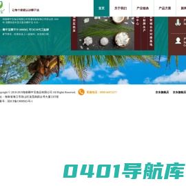 海南椰中宝食品有限公司