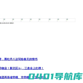黑牡丹（集团）股份有限公司-黑牡丹（集团）股份有限公司
