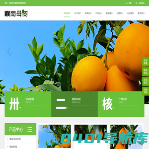 橙意浓赣南母树脐橙-稀世珍果,品味不凡