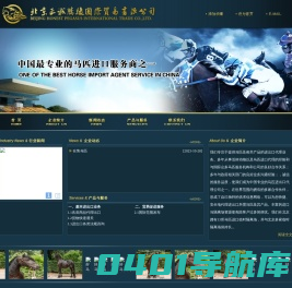 北京正诚腾骏国际贸易有限公司