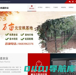 广元古柏道农业开发有限公司